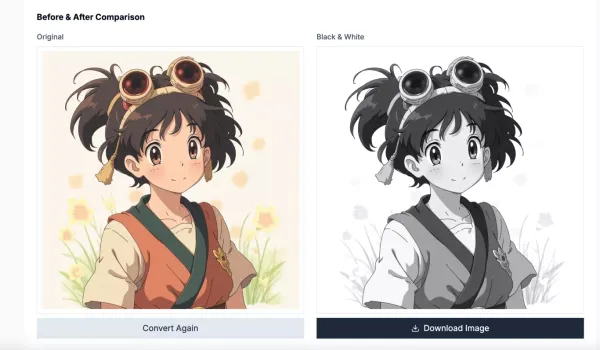 ImageToBlackAndWhite | Convert Image to Black and White - Portfolio design inspiration