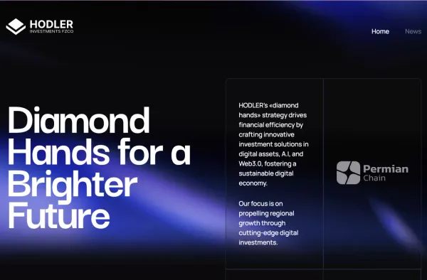 Hodler | Diamond Hands for a Brighter Future - Landing design inspiration