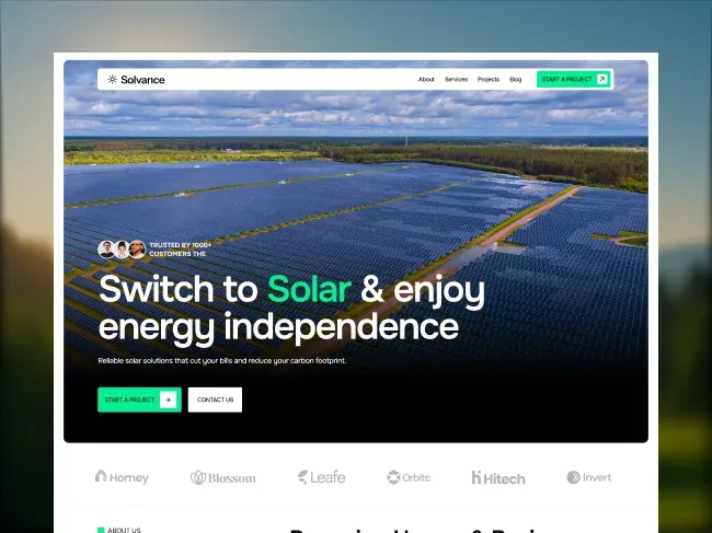 Solvance â Switch to Solar & Enjoy Energy Independence - Template design