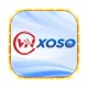 VNSOXO