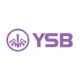 YSB66