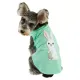 Dog Clothing