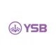 YSB66