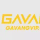 Gavang tv