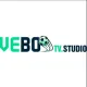 VEBO TV
