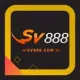 SV88 Band