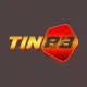 TIN88