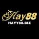 HAY88 BIZ