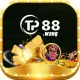 tp88wang
