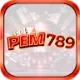 pem789 It com