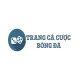Top 10 trang cá độ bóng đá - Trangcacuocbongda.art