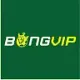 BongVip Nhà Cái