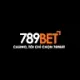 789betvig com