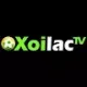 xoilactvnvz.cc giả mạo