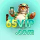 65vip
