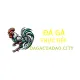 Đá Gà Cựa Dao