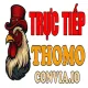 ĐÁ GÀ TRỰC TIẾP  THOMO
