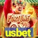usbet team