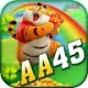 aa45 org