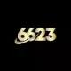 6623 chat
