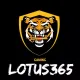 lotus exchange betting