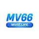 Mv66