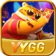 yygg
