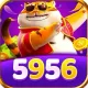 5956r com