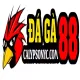 DAGA88 ĐÁ GÀ TRỰC TIẾP THOMO