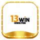 13winpink