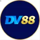 DV88