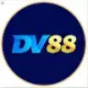DV88