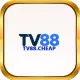 TV88 cheap