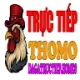 ĐÁ GÀ TRỰC TIẾP