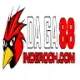 DAGA88 ĐÁ GÀ 88