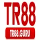 TR88 guru