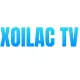 boalogisticscom fake