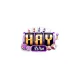 HAYWIN