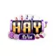HAYWIN
