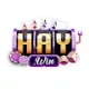 Haywin
