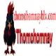 THOMOHOMNAY blv
