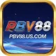 PBV88 USCOM