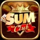 sumclubbeer