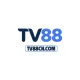 TV88