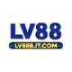 LV88B ITCom