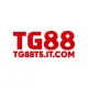 tg88t5itcom