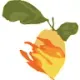 Lemons On Fire Clothing
