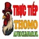 ĐÁ GÀ TRỰC TIẾP ALVEOCLEANAIR