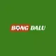 Bongdalu