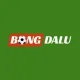 Bongdalu1 Net